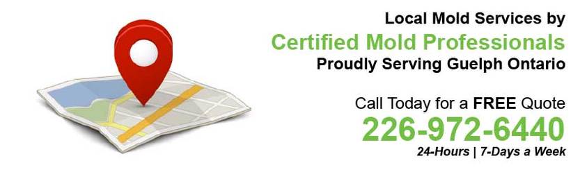 360 Mold Services - Certified Mold Professionals in Guelph, Ontario Banner