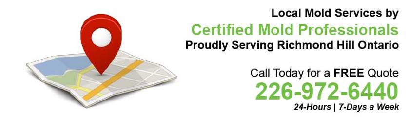 360 Mold Services - Certified Mold Professionals in Richmond Hill, Ontario Banner