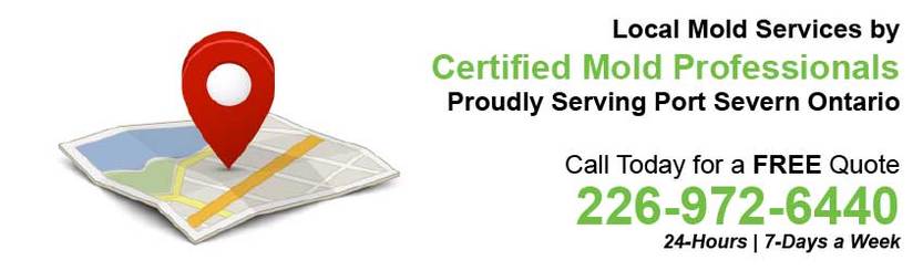 360 Mold Services - Certified Mold Professionals in Port Severn, Ontario Banner