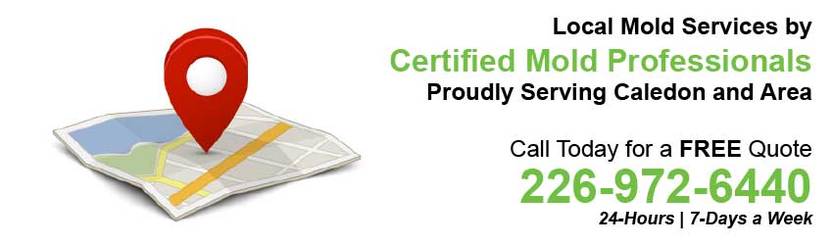 360 Mold Services - Certified Mold Professionals in Caledon, Ontario Banner