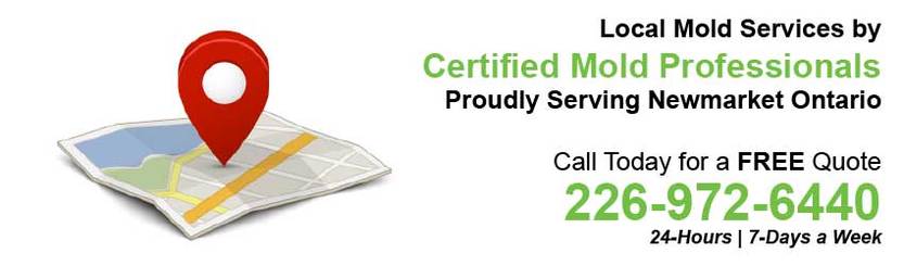 360 Mold Services - Certified Mold Professionals in Newmarket, Ontario Banner