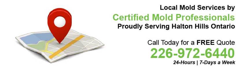 360 Mold Services - Certified Mold Professionals in Halton Hills, Ontario Banner
